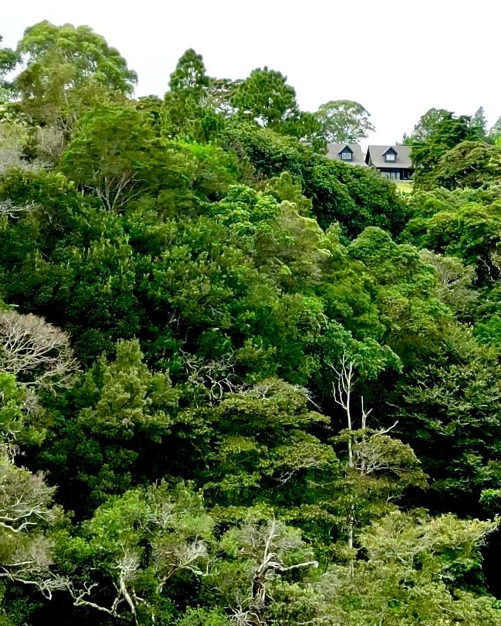 Vila Risco De Hugo Boquete Exteriér fotografie